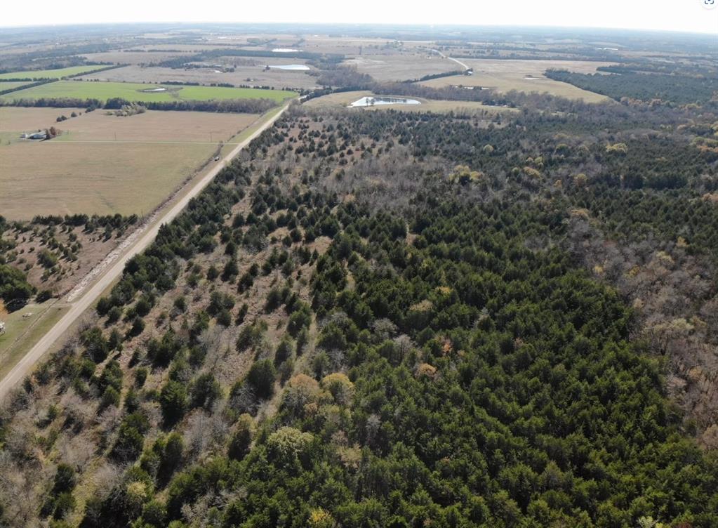Tract 20 County Road 2960 Property Photo 11