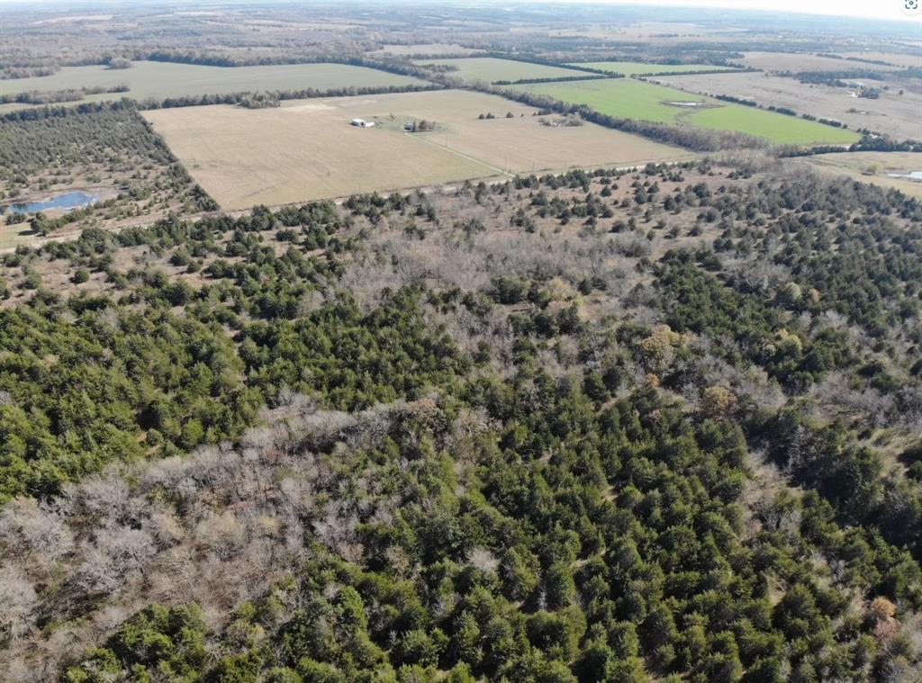 Tract 20 County Road 2960 Property Photo 19