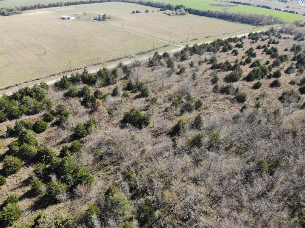 Tract 20 County Road 2960 Property Photo 20