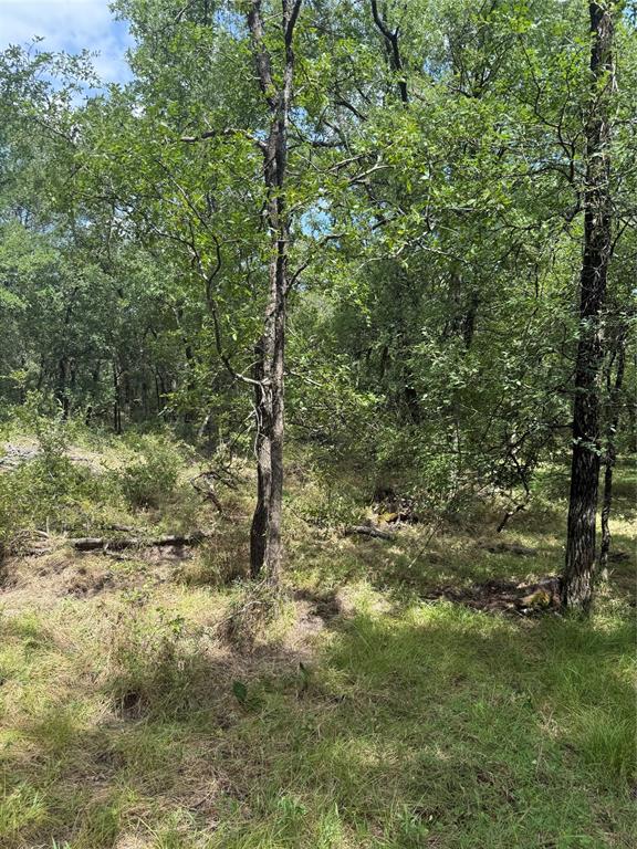 1741 Elm Lake Road Property Photo 2