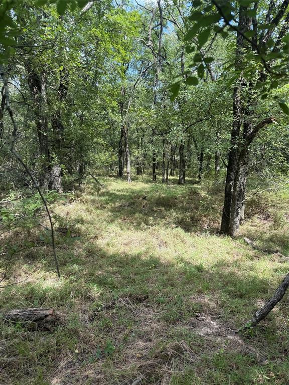 1741 Elm Lake Road Property Photo 3