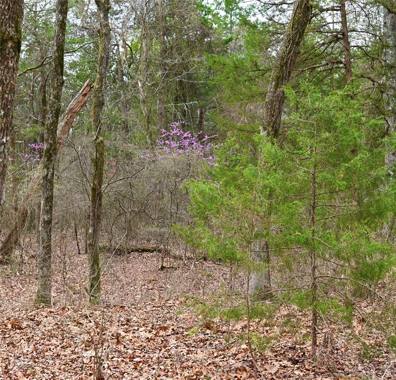 2211 Fm 2029 Property Photo 4