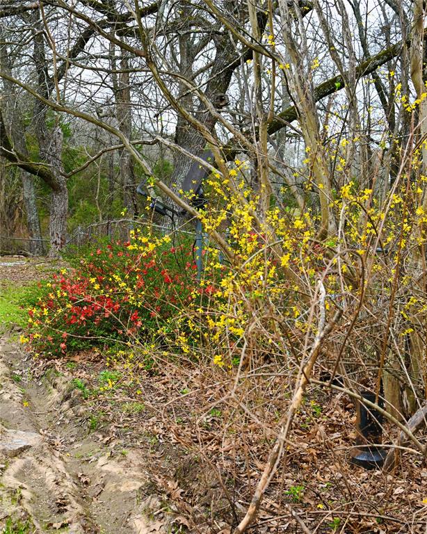 2211 Fm 2029 Property Photo 5