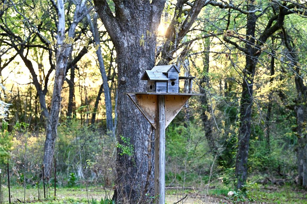 2211 Fm 2029 Property Photo 9