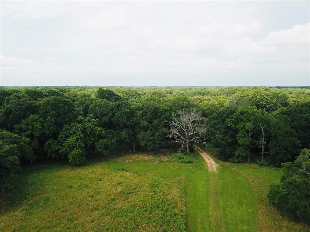 2211 Fm 2029 Property Photo 12