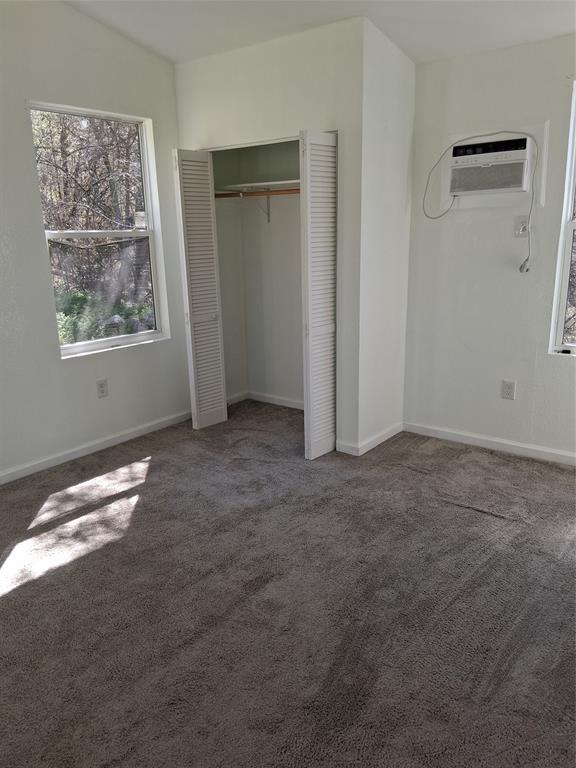2807 Comanche Trail Property Photo 18