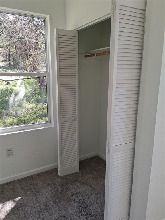 2807 Comanche Trail Property Photo 21