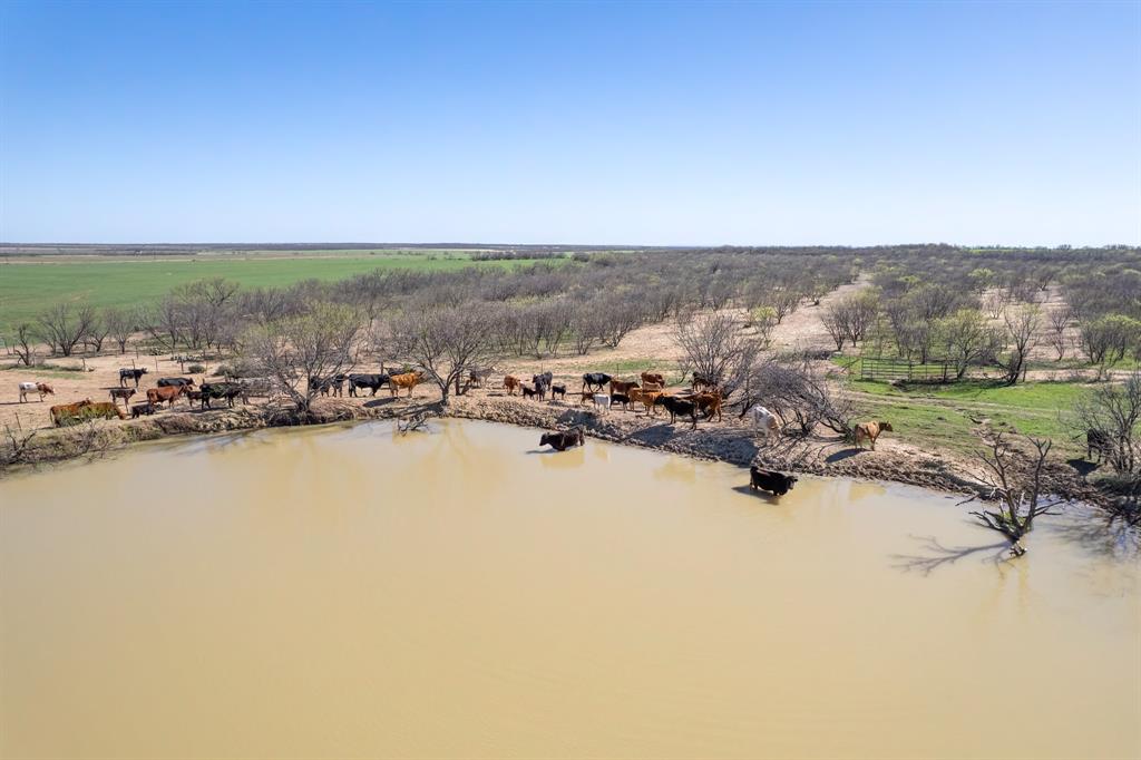 Tbd Cr 300 Property Photo 1