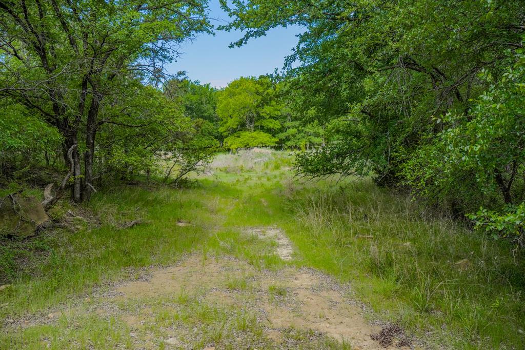 55 Acres Fm 61 Property Photo 16