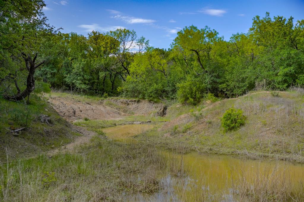 55 Acres Fm 61 Property Photo 17
