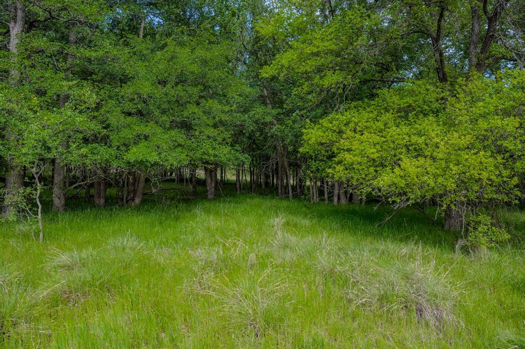 55 Acres Fm 61 Property Photo 18