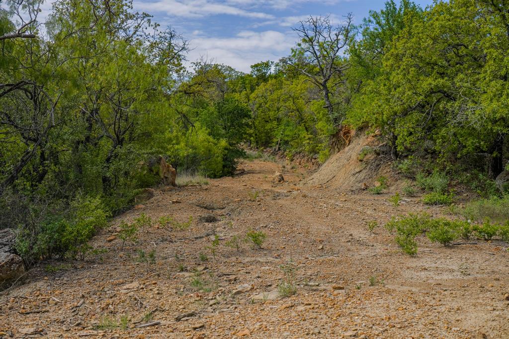 55 Acres Fm 61 Property Photo 19