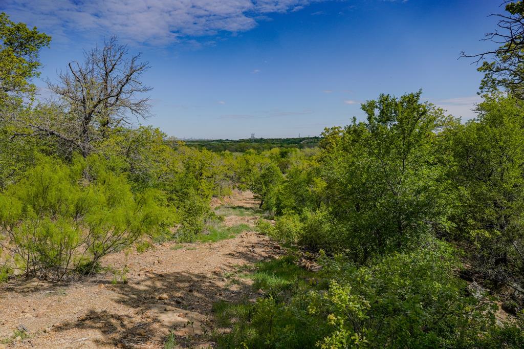 55 Acres Fm 61 Property Photo 21