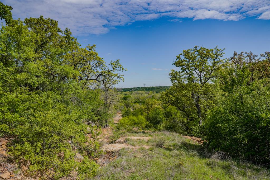 55 Acres Fm 61 Property Photo 22