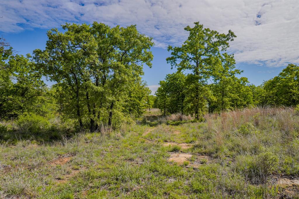 55 Acres Fm 61 Property Photo 23