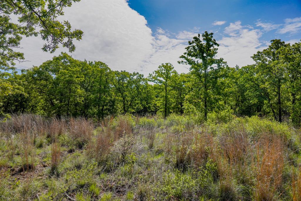 55 Acres Fm 61 Property Photo 24