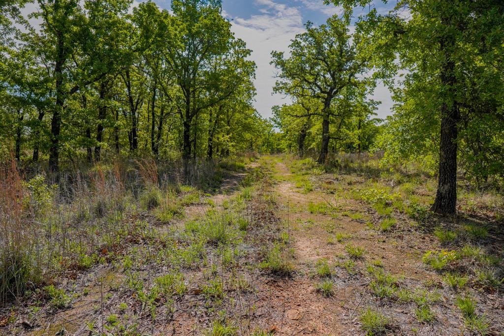 55 Acres Fm 61 Property Photo 25