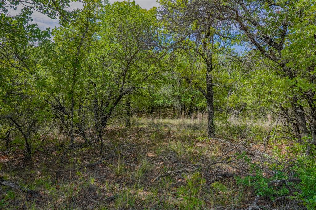 55 Acres Fm 61 Property Photo 26