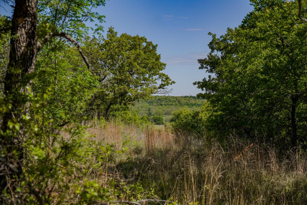 55 Acres Fm 61 Property Photo 27