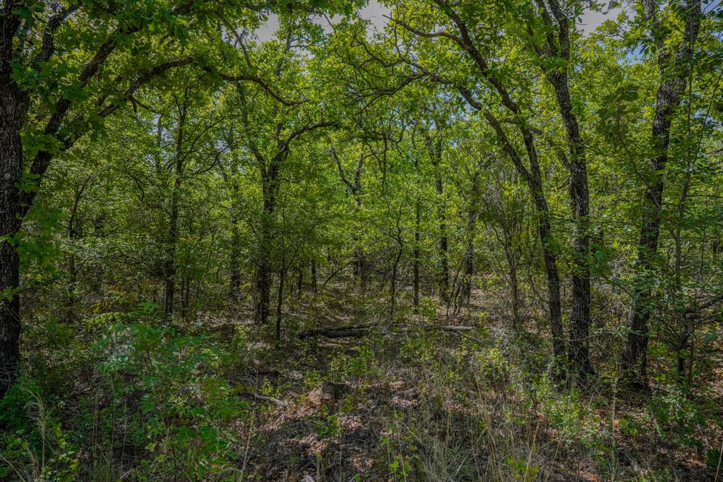55 Acres Fm 61 Property Photo 28