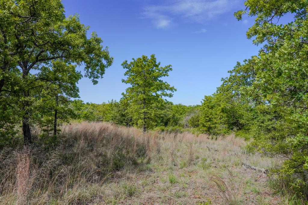 55 Acres Fm 61 Property Photo 29
