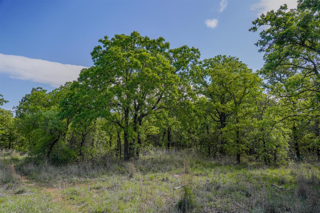 55 Acres Fm 61 Property Photo 30