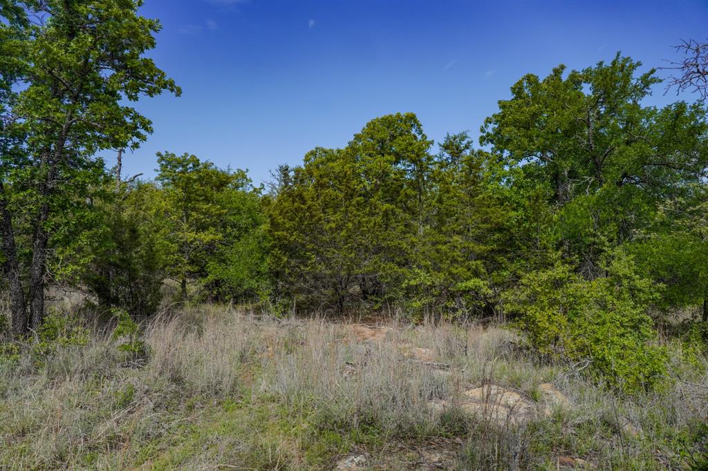 55 Acres Fm 61 Property Photo 31
