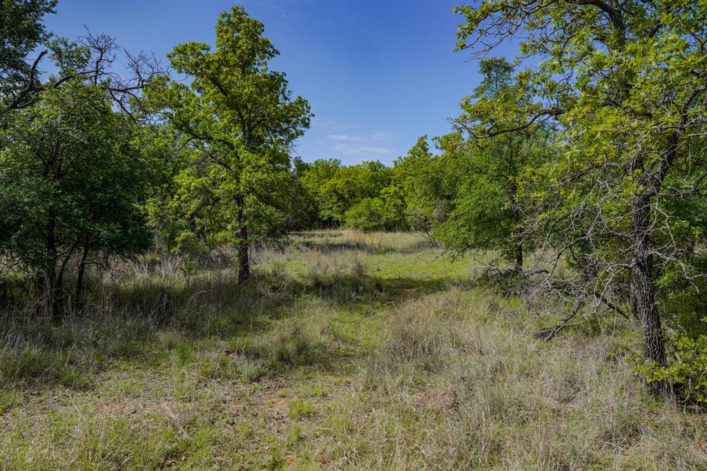 55 Acres Fm 61 Property Photo 32