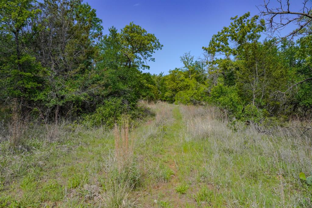 55 Acres Fm 61 Property Photo 33