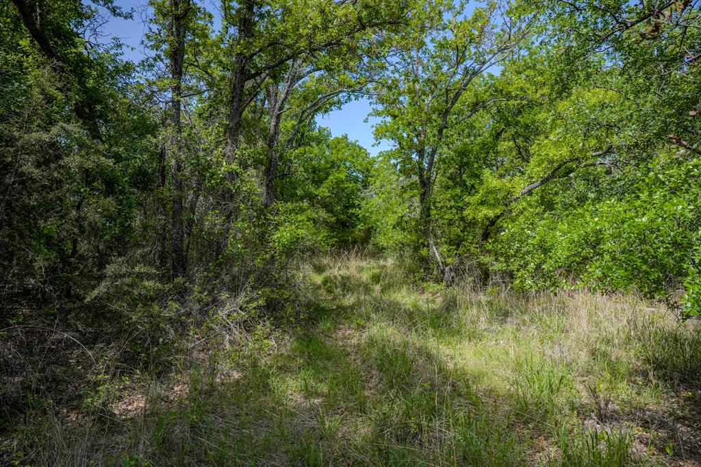 55 Acres Fm 61 Property Photo 34