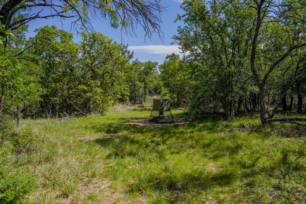55 Acres Fm 61 Property Photo 35