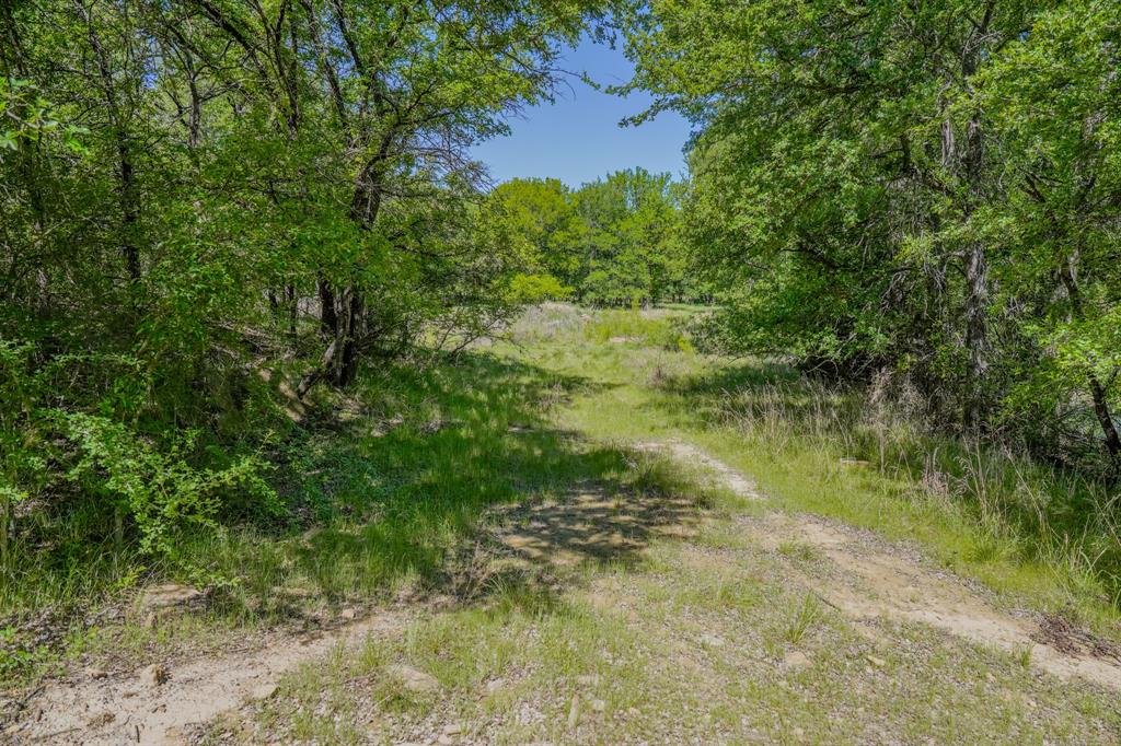 55 Acres Fm 61 Property Photo 39