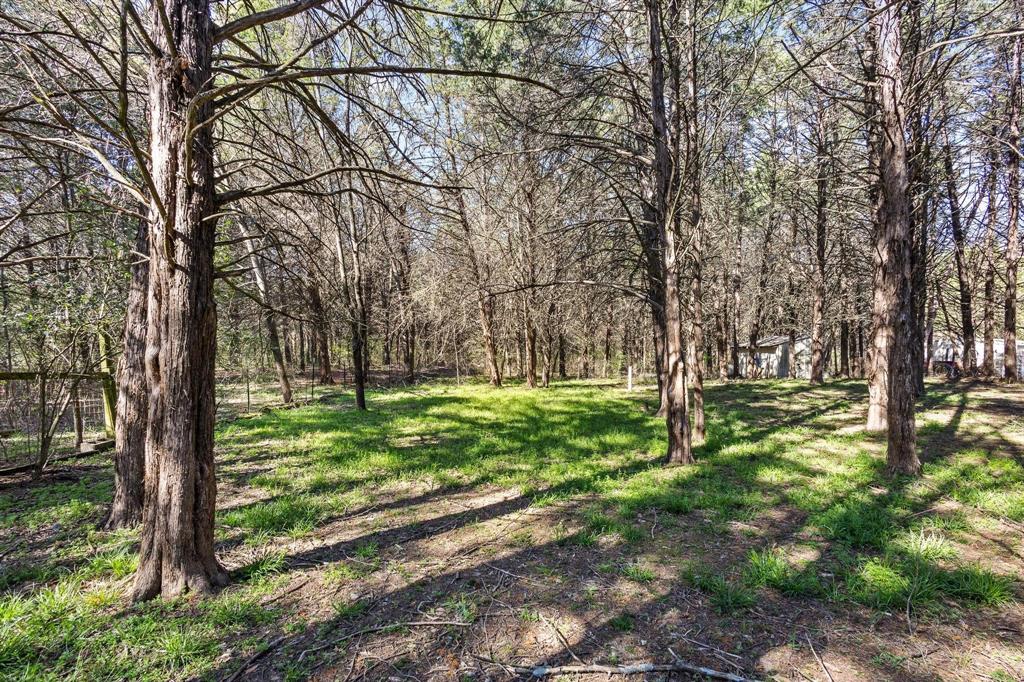528 County Road 1120 Property Photo 23