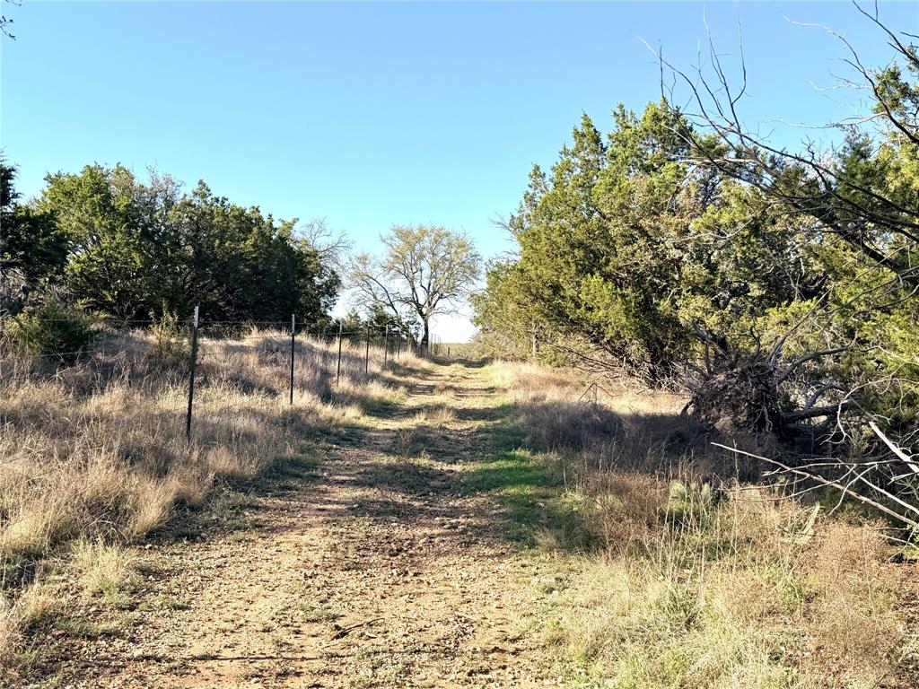 65 County Road 406 Property Photo 4
