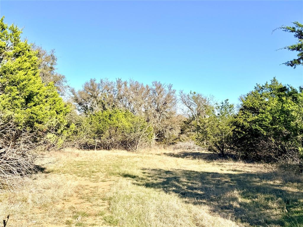 65 County Road 406 Property Photo 5