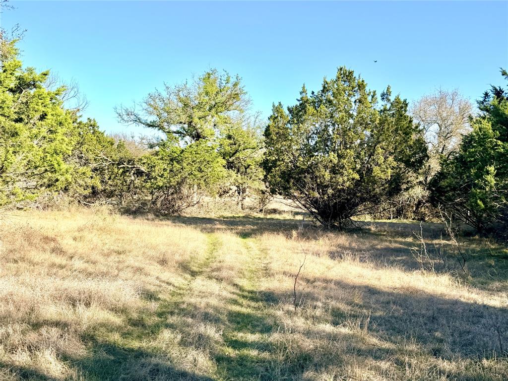 65 County Road 406 Property Photo 6