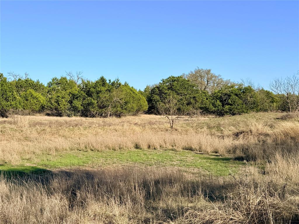 65 County Road 406 Property Photo 7