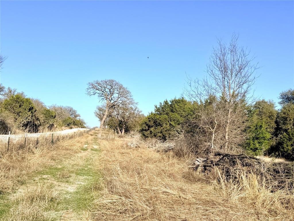 65 County Road 406 Property Photo 8