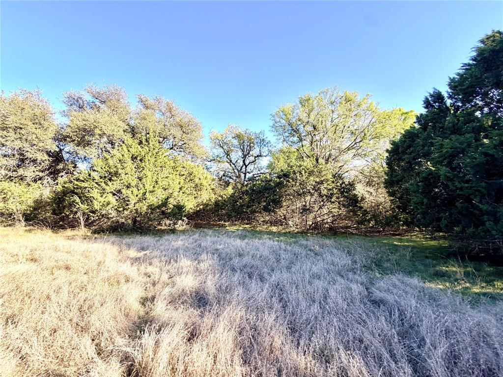 65 County Road 406 Property Photo 10
