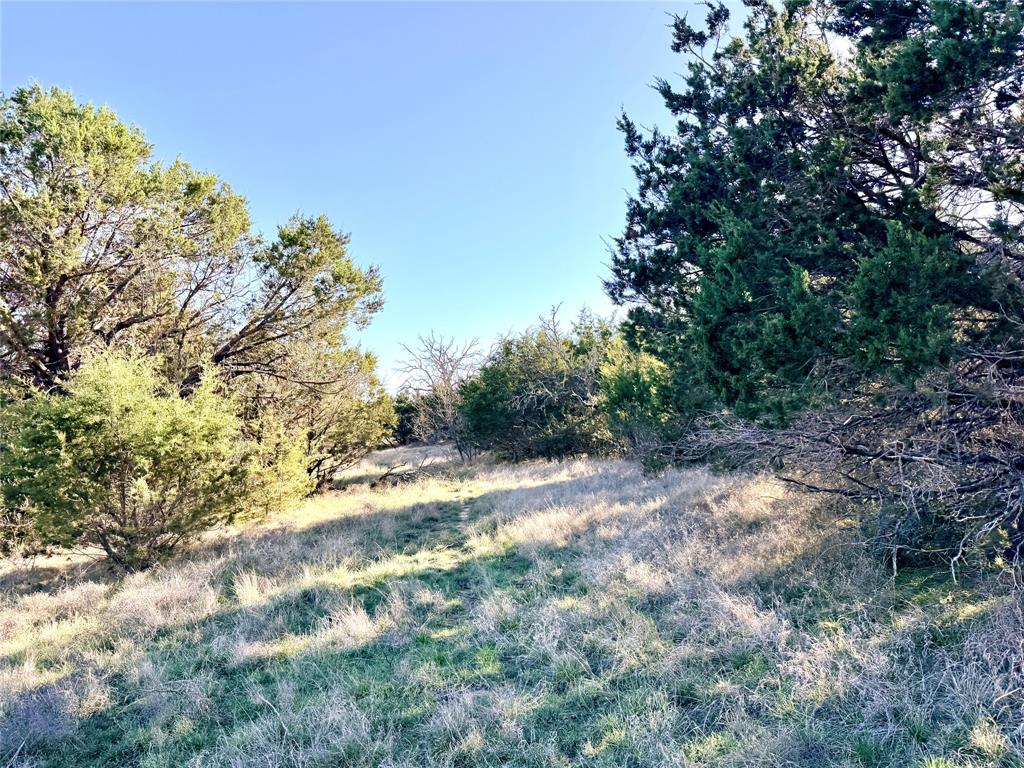 65 County Road 406 Property Photo 24