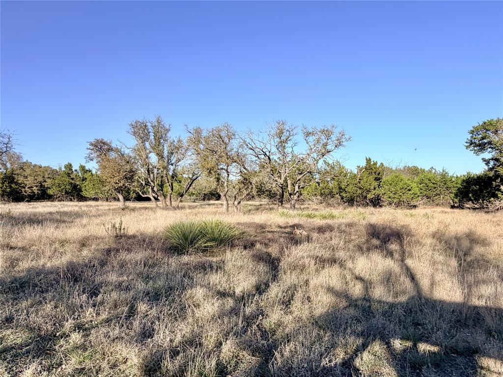 65 County Road 406 Property Photo 29