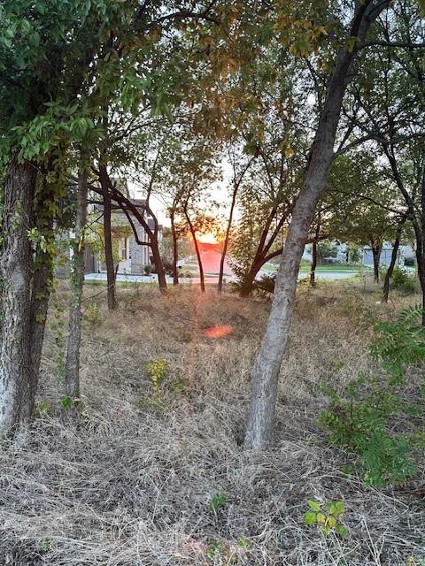1208 Lady Mantle Way Property Photo 37