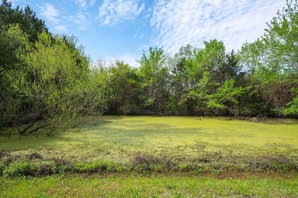 29957 State Highway 64 Property Photo 22