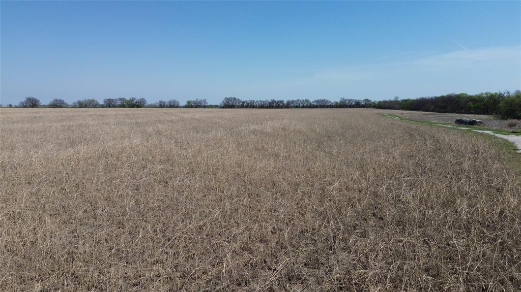 Tbdd Fm 1173 Property Photo 10