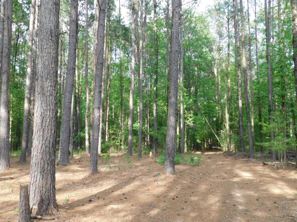 165 Rosewood Road Property Photo 2