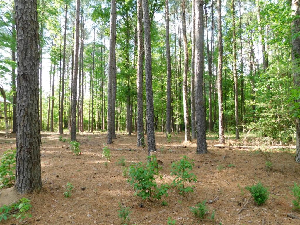 165 Rosewood Road Property Photo 11