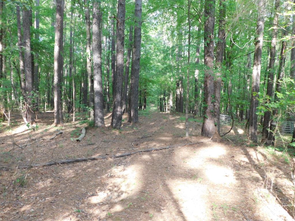 165 Rosewood Road Property Photo 12