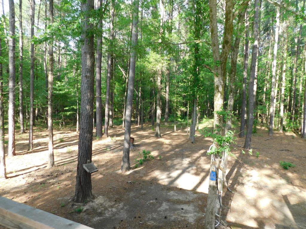 165 Rosewood Road Property Photo 22