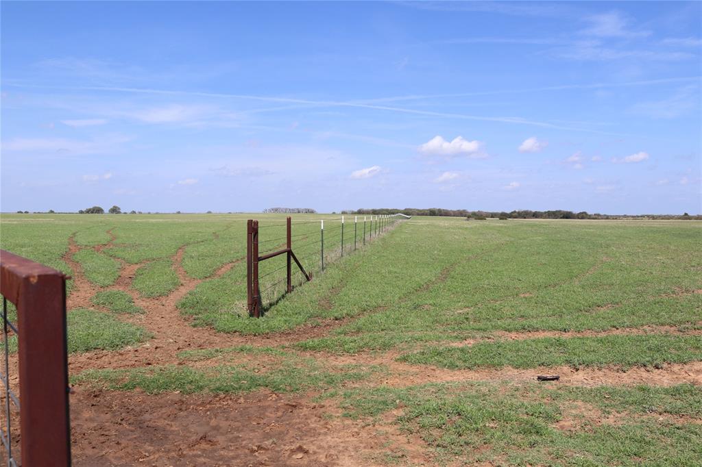 2553 Brixey Road Property Photo 15
