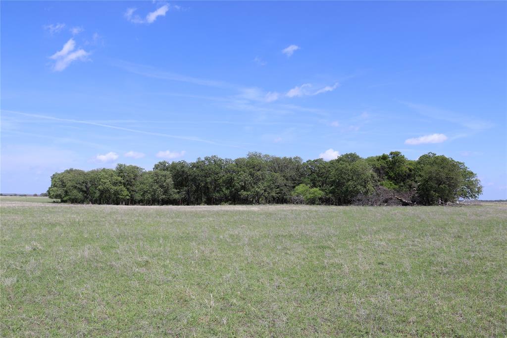 2553 Brixey Road Property Photo 17